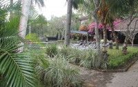   Puri Saron Senggigi Beach Hotel 3*  31