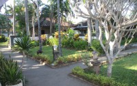   Puri Saron Senggigi Beach Hotel 3*  52