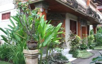   Seminyak Paradiso 3*  4