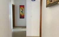   Apartments Danilovic 3*  8