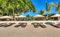   The Westin Turtle Bay Resort Spa 5*  14