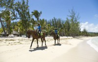   Riu Creole 4*  30