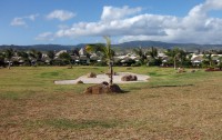   Sofitel So Mauritius Bel Ombre 5*  13