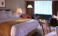   Marriott Amman 5*  14