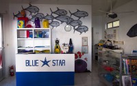   Blue Star Dive & Resort 4*  11