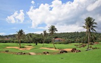   Fairways & Bluewater Resort 5*  45