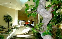   Naturmed Hotel Carbona 4*  78