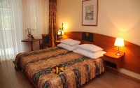   Hotel Spa Heviz 4*  54