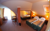   Hotel Spa Heviz 4*  4