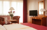   Hotel Flamingo 4*  49