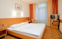   Thermal Hotel Harkany 4*  101