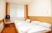   Thermal Hotel Harkany 4*  15