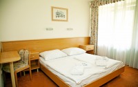   Thermal Hotel Harkany 4*  13