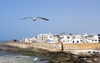   Sofitel Essaouira Mogador Golf&spa 5*  1