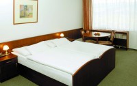 Splendid Ensana Health Spa Hotel 3*  4