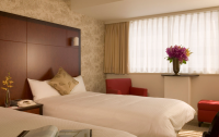   Mercure Tokyo Ginza 4*  13