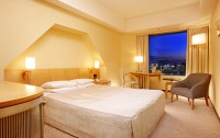   Tokyo Dome Hotel 4*  65