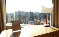   Tokyo Dome Hotel 4*  61