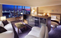   Tokyo Dome Hotel 4*  58