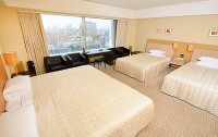   Tokyo Dome Hotel 4*  30