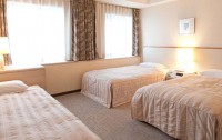   Washington Hotel Shinjuku 3*  10