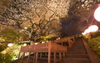   Grand Prince Hotel Takanawa 4*  13