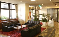   Tokyo Inn Hotel 2*  24