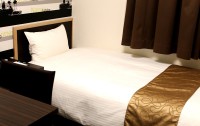   Hotel Wing International Shinjuku 3*  17