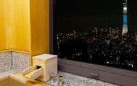   Hotel East 21 Tokyo 4*  44