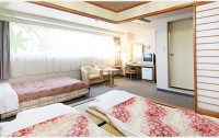 Hotel Taihei 3*  5