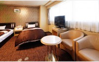 Hotel Taihei 3*  3