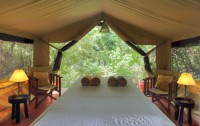   Sarova Mara Game Camp 4*  13