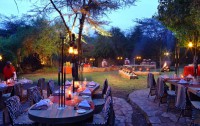   Sarova Mara Game Camp 4*  21