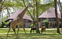   Lake Naivasha Sopa Resort 4*  11