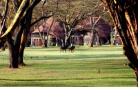   Lake Naivasha Sopa Resort 4*  9