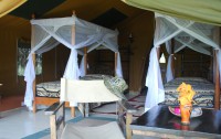 Flamingo Hill Tented Camp 3*  4