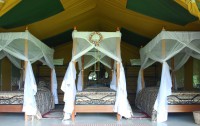 Flamingo Hill Tented Camp 3*  3