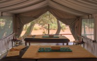   Sarova Shaba Game Lodge 5*  3