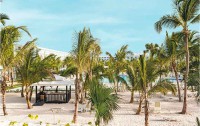   Riu Republica (adults Only) 5*  8