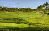   Barcelo Bavaro Palace 5*  79