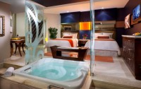   Hard Rock Casino & Hotel Punta Cana 5*  30