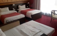 Alp Inn Hotel 4*  3