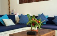   Indigo Beach Zanzibar Boutique Hotel 4*  23