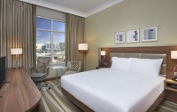   Hilton Garden Inn Dubai Al Muraqabat 4*  9