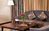   Rayan Hotel Sharjah 3*  19