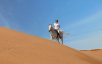   The Ritz-carlton Ras Al Khaimah, Al Wadi Desert 5*  27