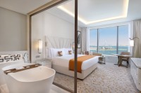   The St.regis Dubai, The Palm 5*  17