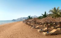   Le Meridien Al Aqah Beach Resort 5*  48