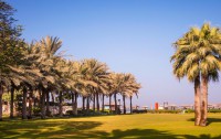   Coral Beach Resort Sharjah 4*  8