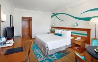   Coral Beach Resort Sharjah 4*  27